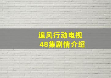 追风行动电视48集剧情介绍