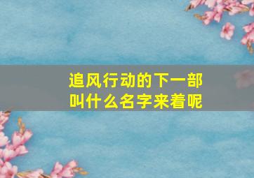 追风行动的下一部叫什么名字来着呢