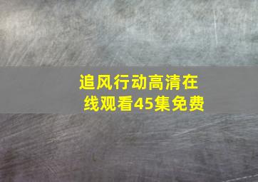 追风行动高清在线观看45集免费