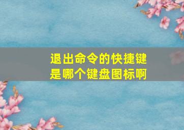 退出命令的快捷键是哪个键盘图标啊