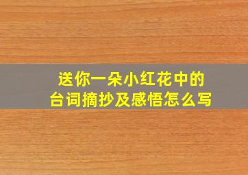 送你一朵小红花中的台词摘抄及感悟怎么写