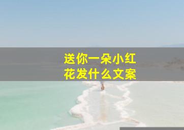 送你一朵小红花发什么文案