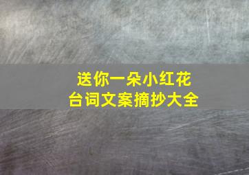 送你一朵小红花台词文案摘抄大全