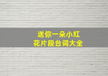 送你一朵小红花片段台词大全