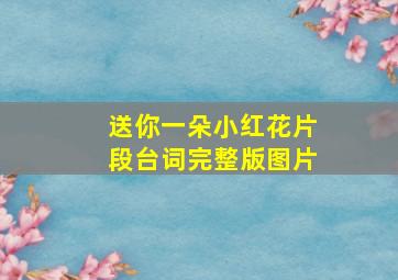 送你一朵小红花片段台词完整版图片