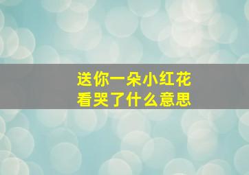 送你一朵小红花看哭了什么意思