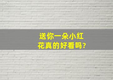 送你一朵小红花真的好看吗?