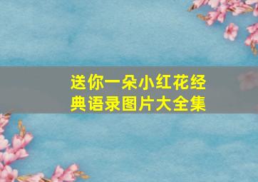 送你一朵小红花经典语录图片大全集