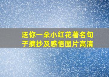 送你一朵小红花著名句子摘抄及感悟图片高清