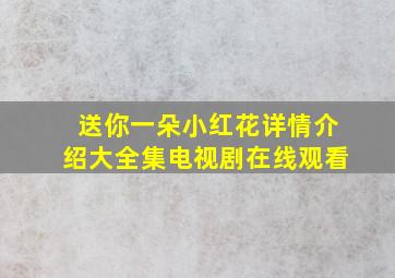 送你一朵小红花详情介绍大全集电视剧在线观看