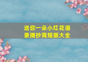 送你一朵小红花语录摘抄简短版大全