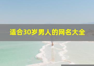 适合30岁男人的网名大全