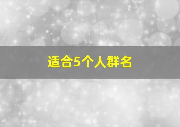 适合5个人群名