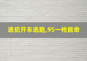 逃犯开车逃跑,95一枪毙命