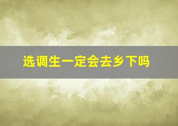 选调生一定会去乡下吗