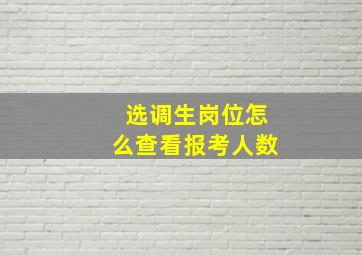 选调生岗位怎么查看报考人数