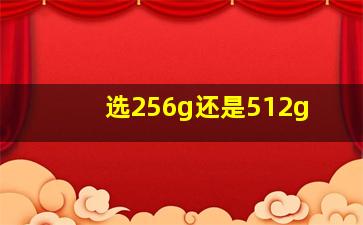 选256g还是512g