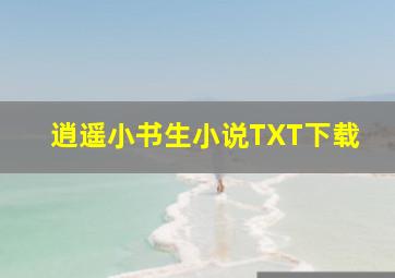 逍遥小书生小说TXT下载