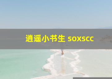 逍遥小书生 soxscc