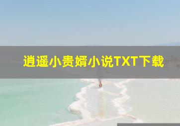 逍遥小贵婿小说TXT下载