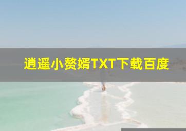 逍遥小赘婿TXT下载百度