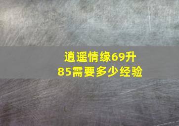 逍遥情缘69升85需要多少经验