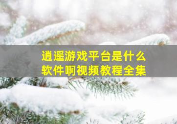 逍遥游戏平台是什么软件啊视频教程全集