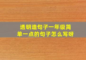 透明造句子一年级简单一点的句子怎么写呀