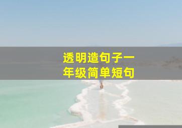 透明造句子一年级简单短句