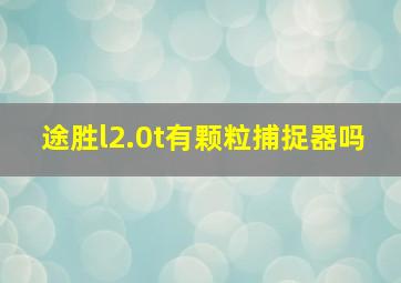 途胜l2.0t有颗粒捕捉器吗