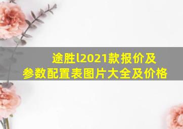 途胜l2021款报价及参数配置表图片大全及价格