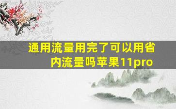 通用流量用完了可以用省内流量吗苹果11pro