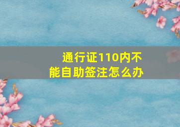 通行证110内不能自助签注怎么办