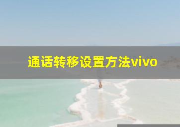 通话转移设置方法vivo