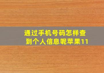 通过手机号码怎样查到个人信息呢苹果11