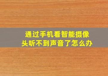 通过手机看智能摄像头听不到声音了怎么办