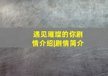 遇见璀璨的你剧情介绍|剧情简介