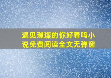 遇见璀璨的你好看吗小说免费阅读全文无弹窗