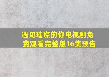 遇见璀璨的你电视剧免费观看完整版16集预告