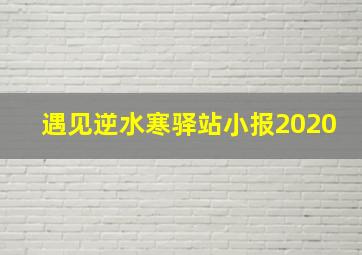 遇见逆水寒驿站小报2020