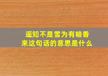 遥知不是雪为有暗香来这句话的意思是什么