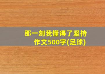 那一刻我懂得了坚持作文500字(足球)