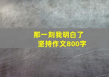 那一刻我明白了坚持作文800字