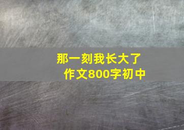 那一刻我长大了作文800字初中