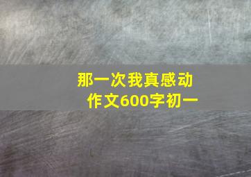 那一次我真感动作文600字初一