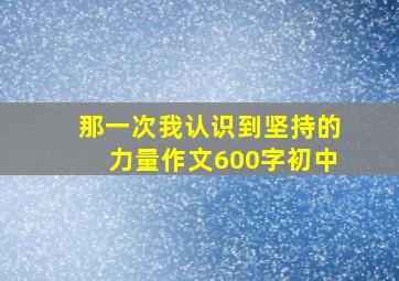 那一次我认识到坚持的力量作文600字初中