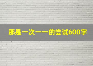 那是一次一一的尝试600字