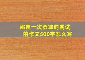 那是一次勇敢的尝试的作文500字怎么写