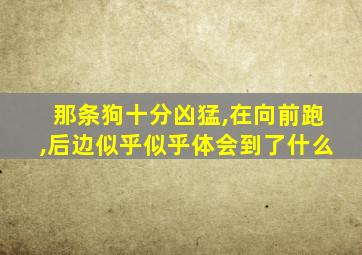 那条狗十分凶猛,在向前跑,后边似乎似乎体会到了什么