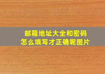 邮箱地址大全和密码怎么填写才正确呢图片